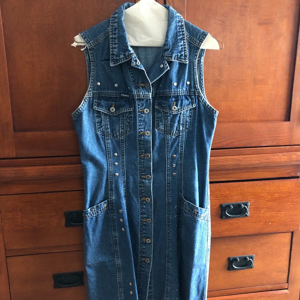 Palmiyer Denim Dress